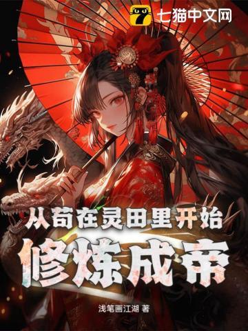 海贼之疾风剑豪