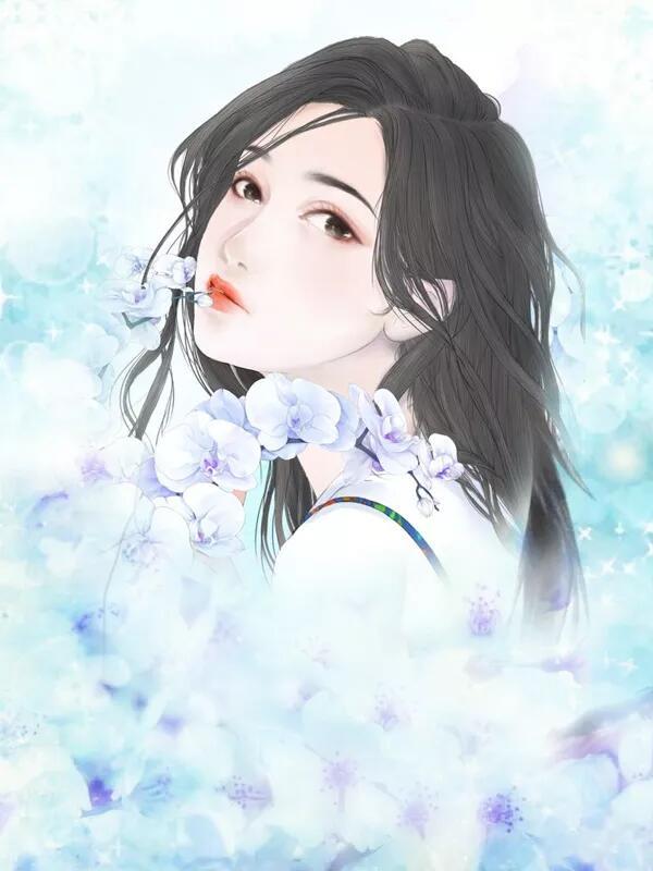 红楼之鸾凤