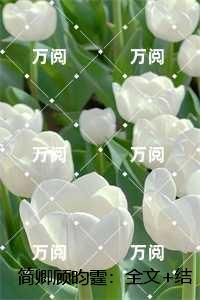 简卿顾昀霆