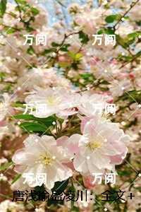 唐浅瑜盛凌川