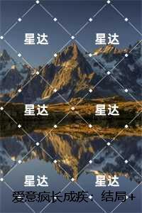 陆心宁谢司砚